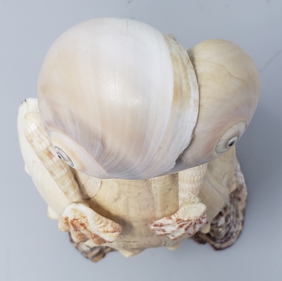 E.T. Seashell Art Collection - Picture 5 of 10